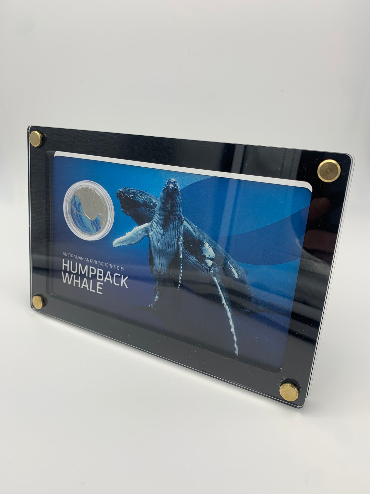 Acrylic c mint display.